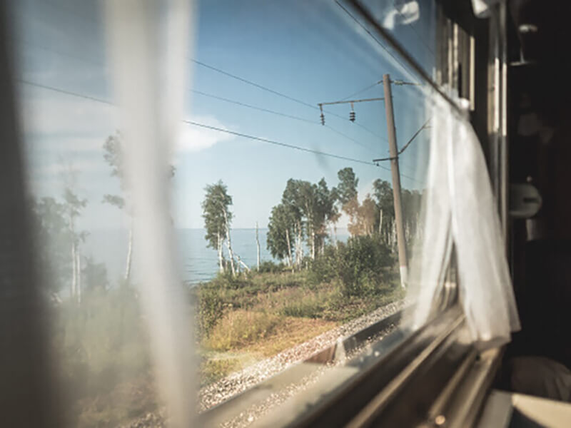 лес из окна поезда